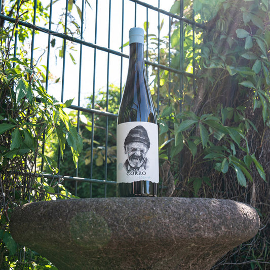Nachprobiert: Gorro Atlantico Loureiro DO Vinho Verde