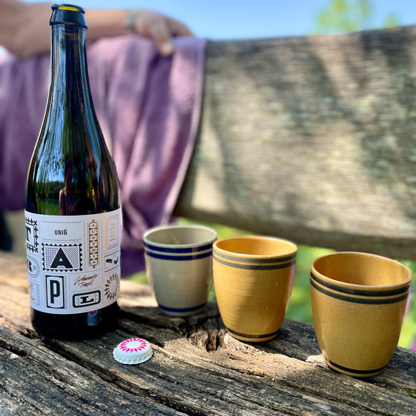 Nachprobiert: Uni6 Rosé BIO