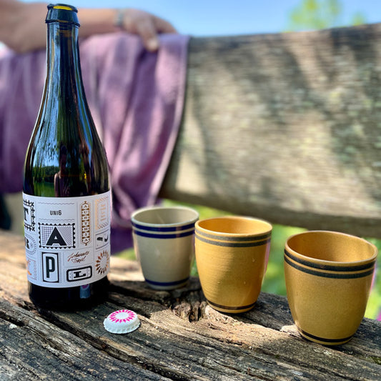 Nachprobiert: Uni6 Rosé BIO