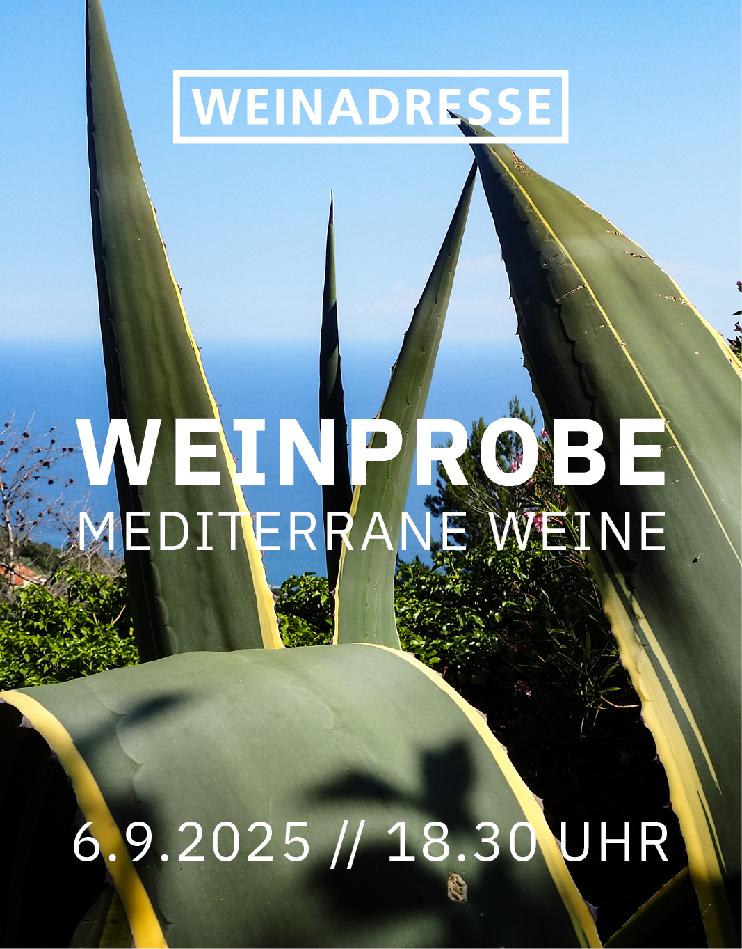 Weinprobe «Mediterrane Weine» | 6.9.2025