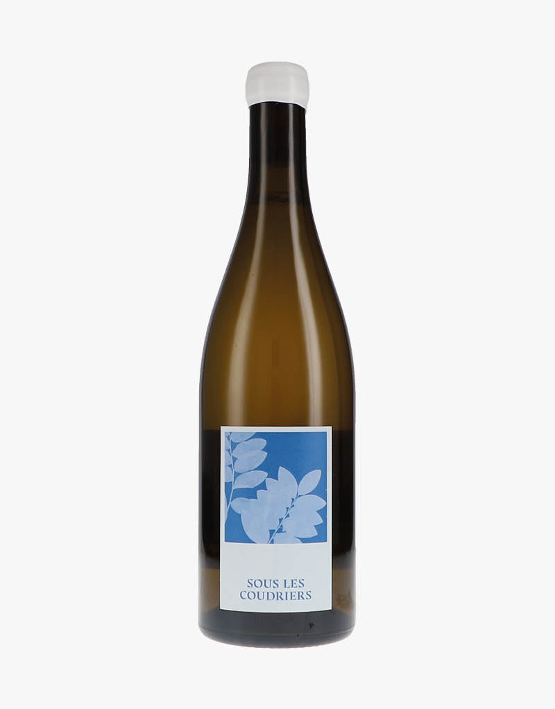 Sous les Coudriers VdF Pinot Gris 2023