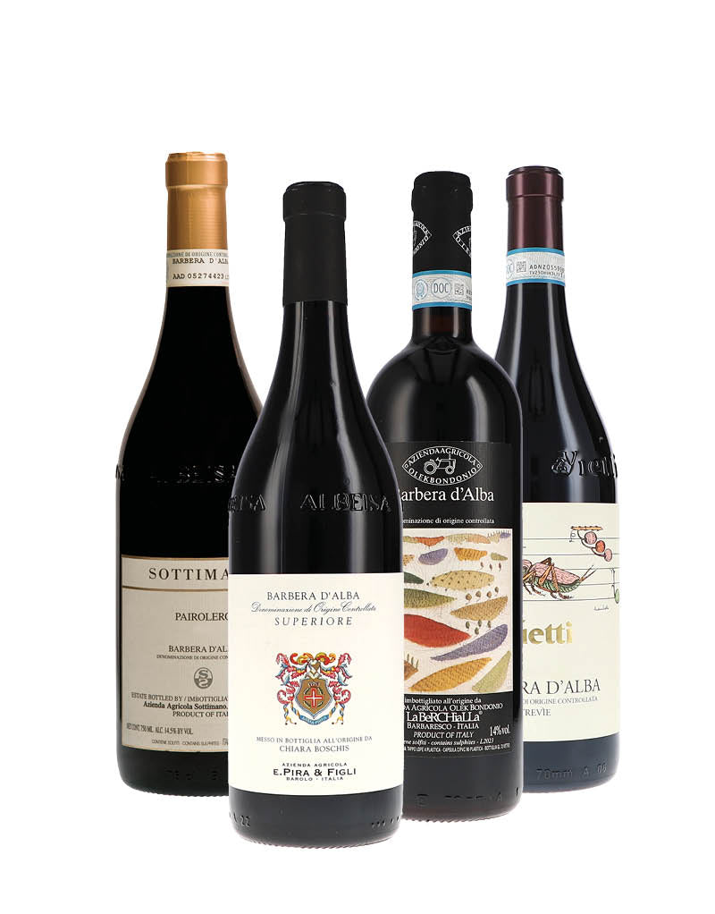 Barbera d´Alba "Tasting-Paket"