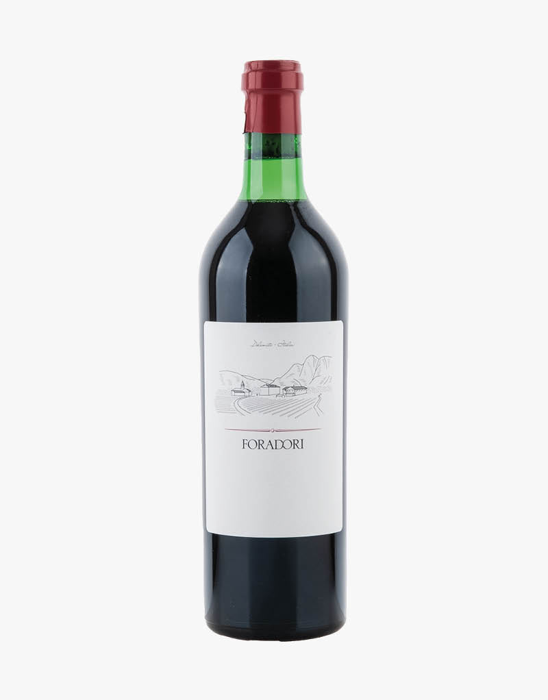 Teroldego Vigneti delle Dolomiti IGT BIO 2023