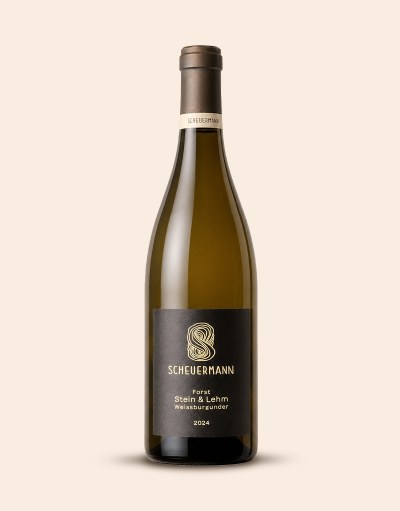 Forster Weißburgunder Stein & Lehm BIO 2024