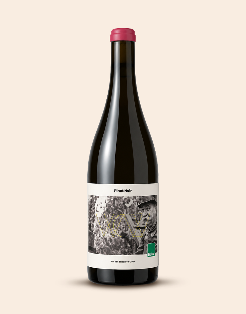 Pinot Noir von den Terrassen 2023
