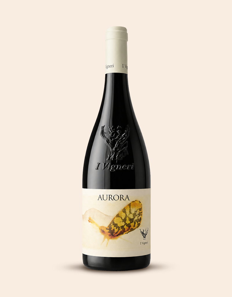 Aurora Bianco Caselle DOC 2025