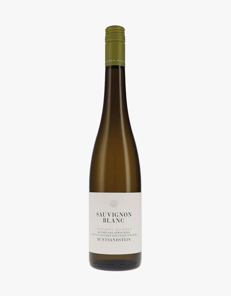Sauvignon Blanc Buntsandstein BIO 2024