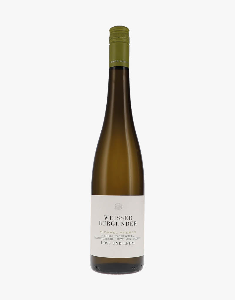 Weisser Burgunder Löss & Lehm BIO 2024