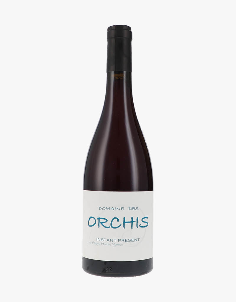 Instant Présent Mondeuse AOP Vin de Savoie 2022 BIO