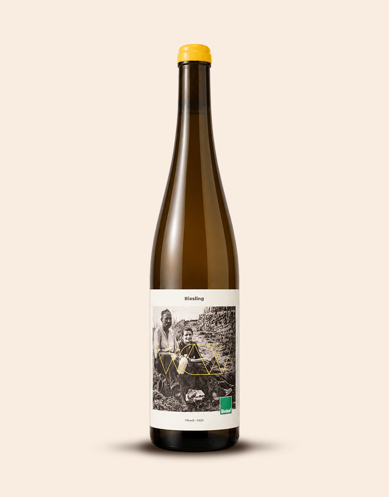 Riesling trocken Ylbach 2023