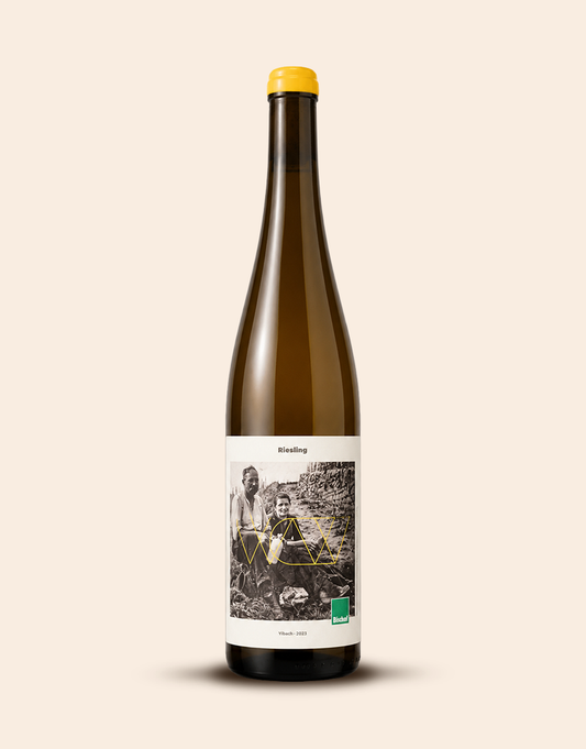 Riesling trocken Ylbach 2023