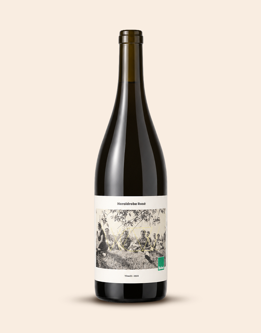 Heroldrebe Rosé Ylbach 2023