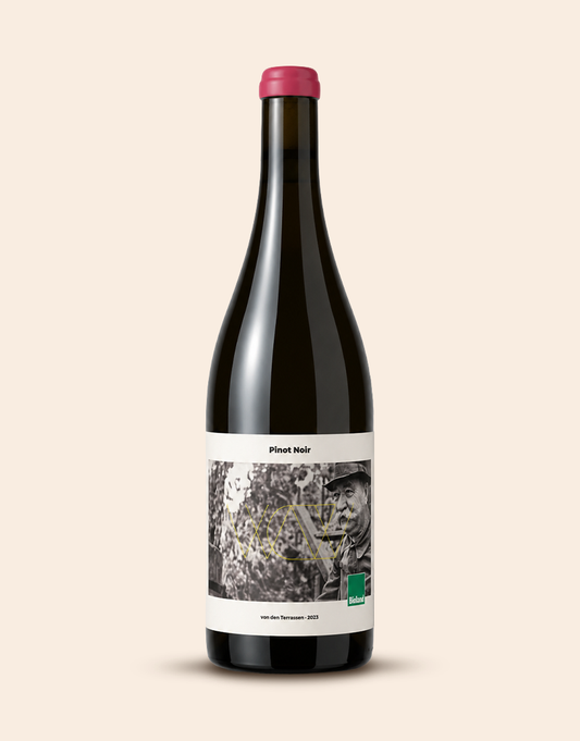 Pinot Noir von den Terrassen 2023