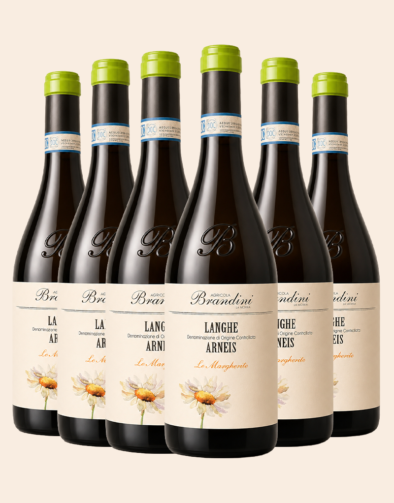 Arneis Langhe Sparpaket 6 x 0,75 ltr.